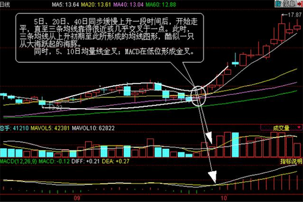 什么是海豚张嘴，海豚嘴形态要点有哪些?